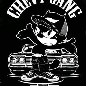 Meet your Posher, Gonzalez